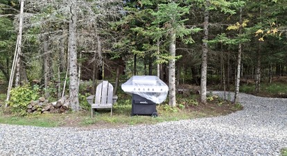 Gorgeous Yurt in the Adirondacks for a Unique Glamping Getaway near Minerva, New York - Minerva, New York - glamping.directory
