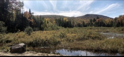 Gorgeous Yurt in the Adirondacks for a Unique Glamping Getaway near Minerva, New York - Minerva, New York - glamping.directory
