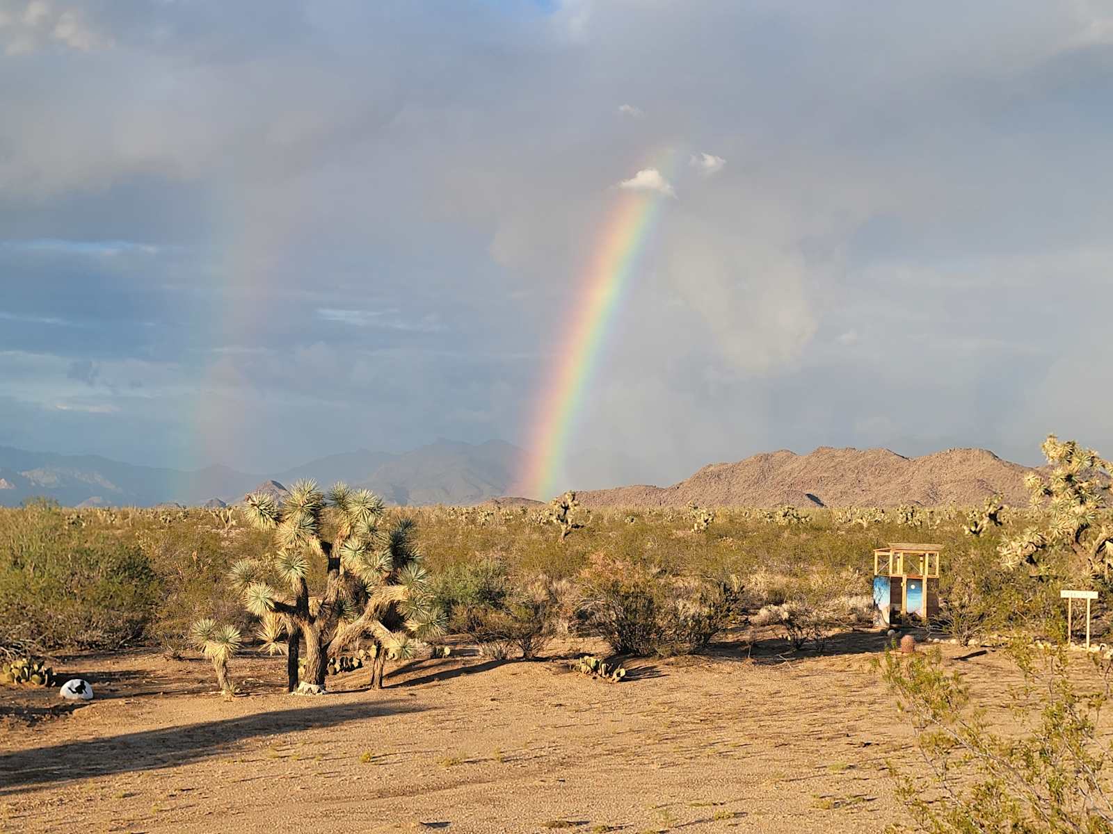 Magic in the Mojave - Yucca, Arizona - glamping.directory