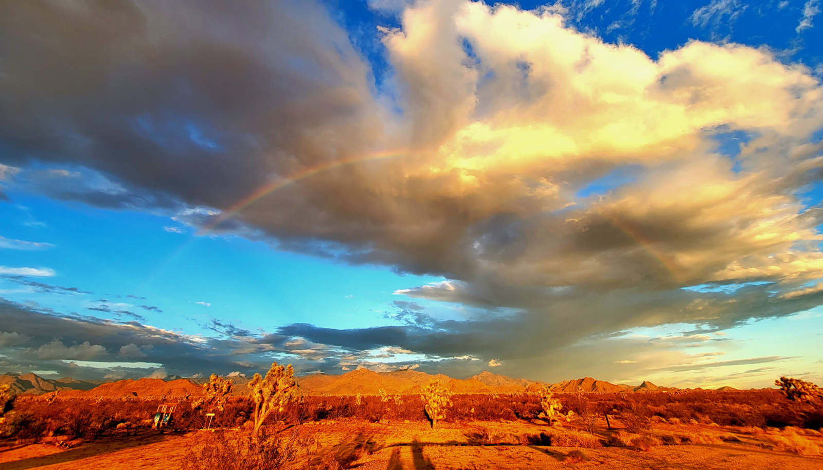 Magic in the Mojave - Yucca, Arizona - glamping.directory