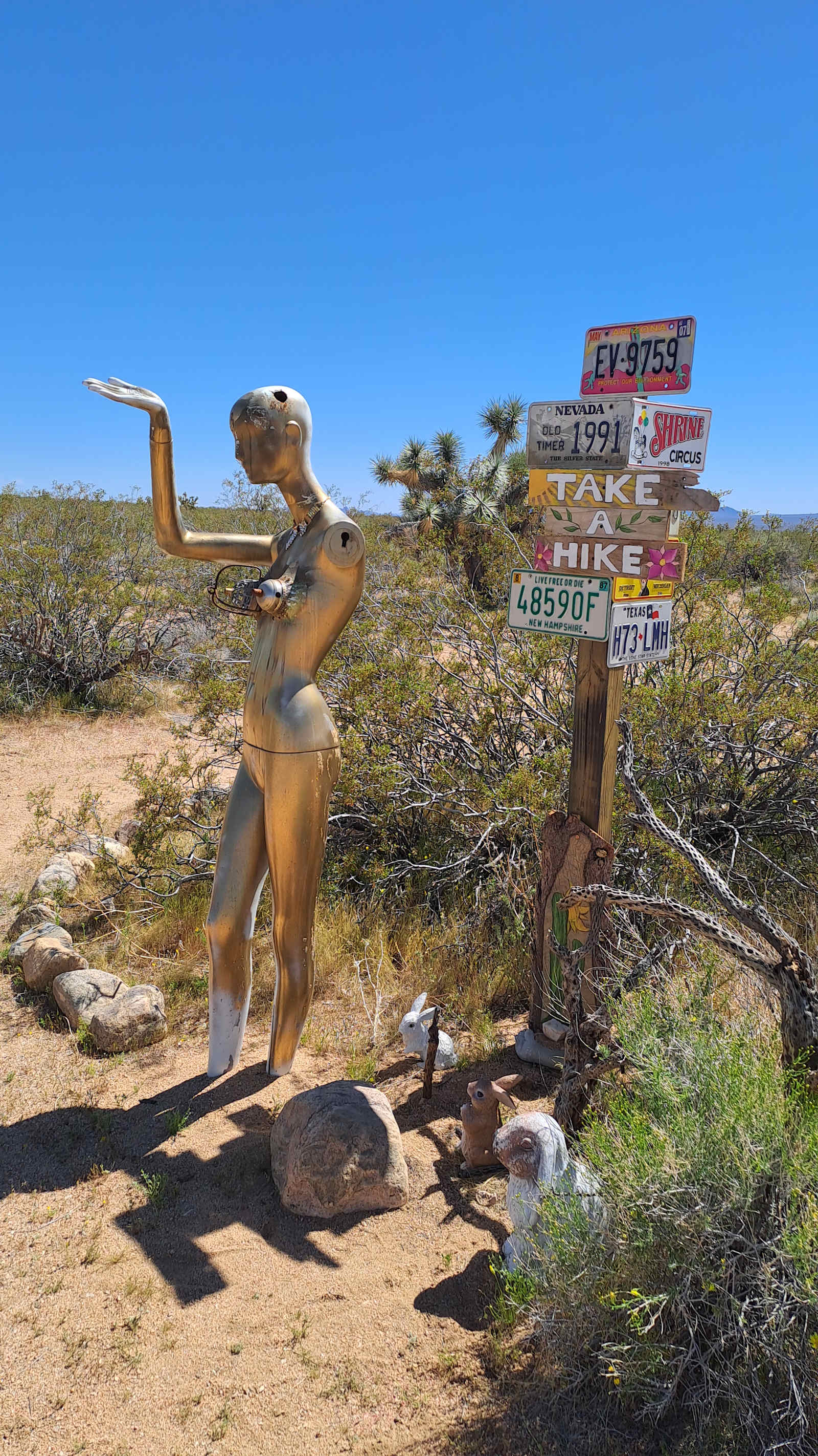 Magic in the Mojave - Yucca, Arizona - glamping.directory