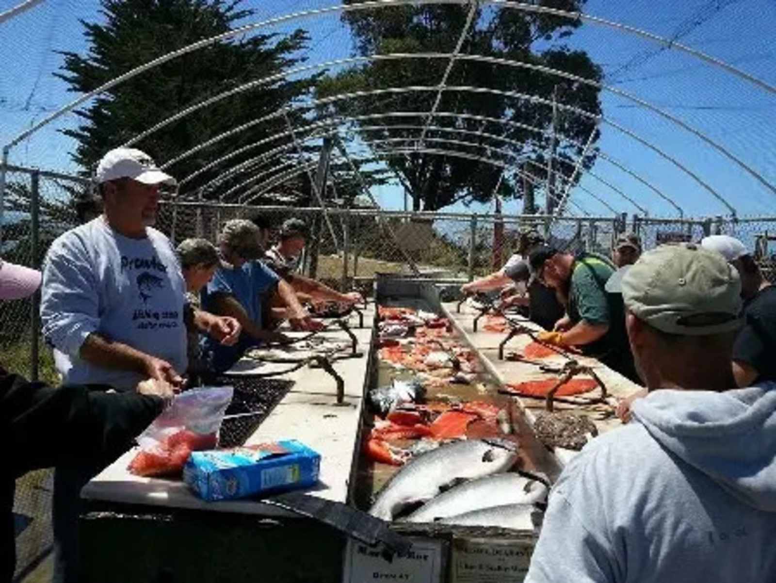 Shelter Cove Campground - Whitethorn, California - glamping.directory