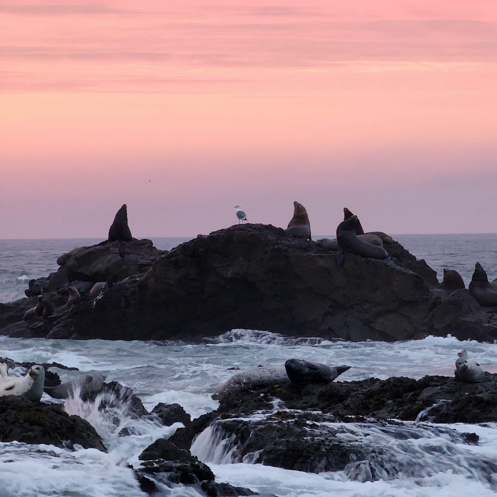 Shelter Cove Campground - Whitethorn, California - glamping.directory