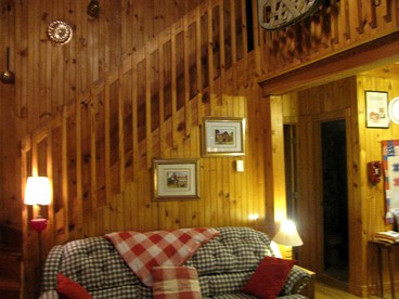 Secluded Pet-Friendly Log Cabin near Asheville, North Carolina - Cullowhee, North Carolina - glamping.directory
