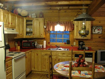 Secluded Pet-Friendly Log Cabin near Asheville, North Carolina - Cullowhee, North Carolina - glamping.directory
