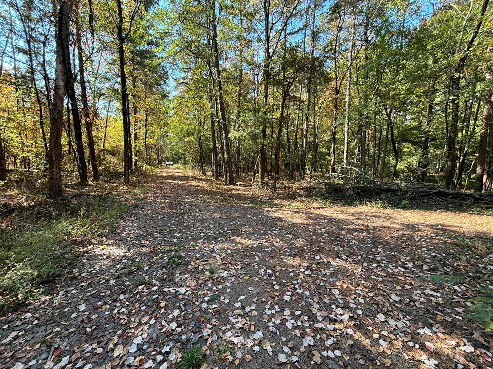 Camp 62 on Petit Jean Mountain - Morrilton, Arkansas - glamping.directory