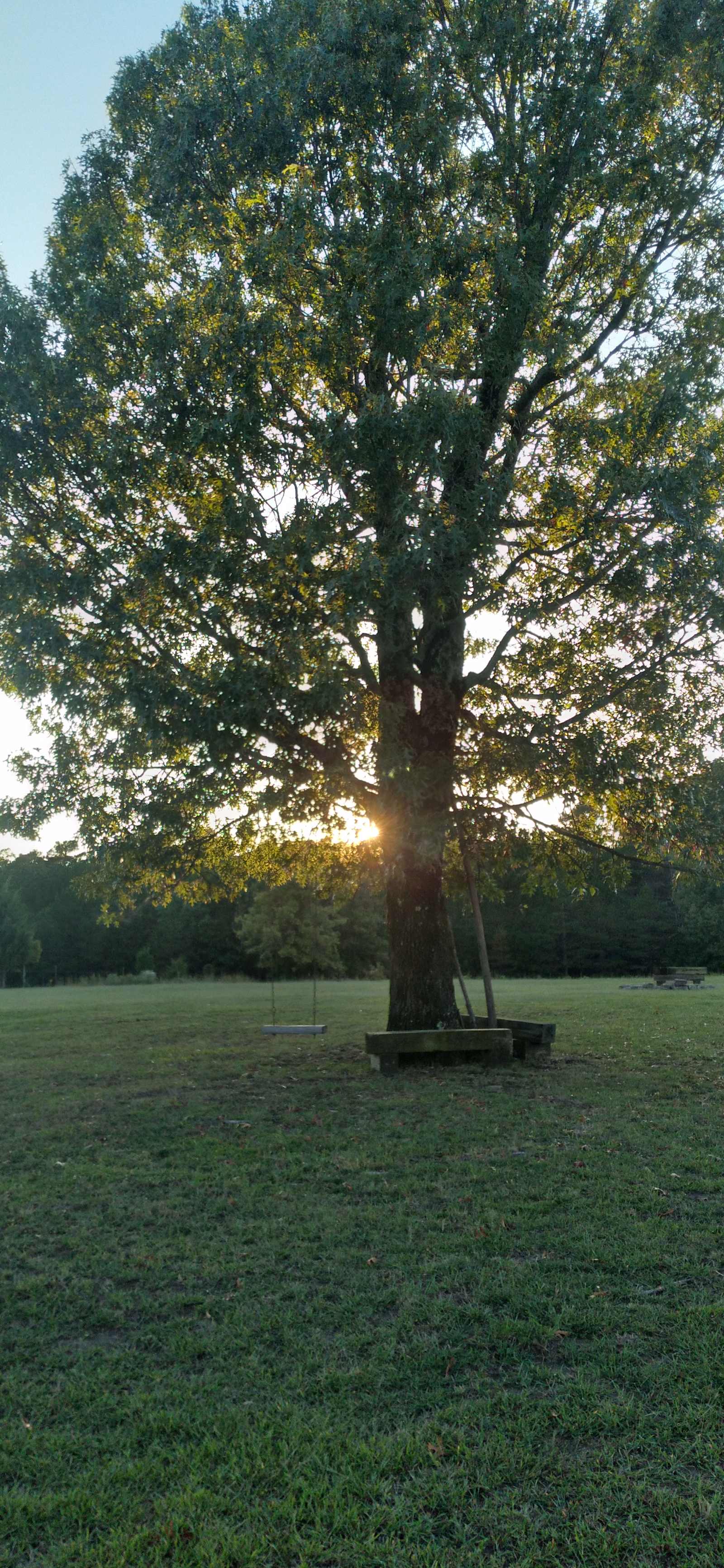 Crown Mountain Campground - Leslie, Arkansas - glamping.directory
