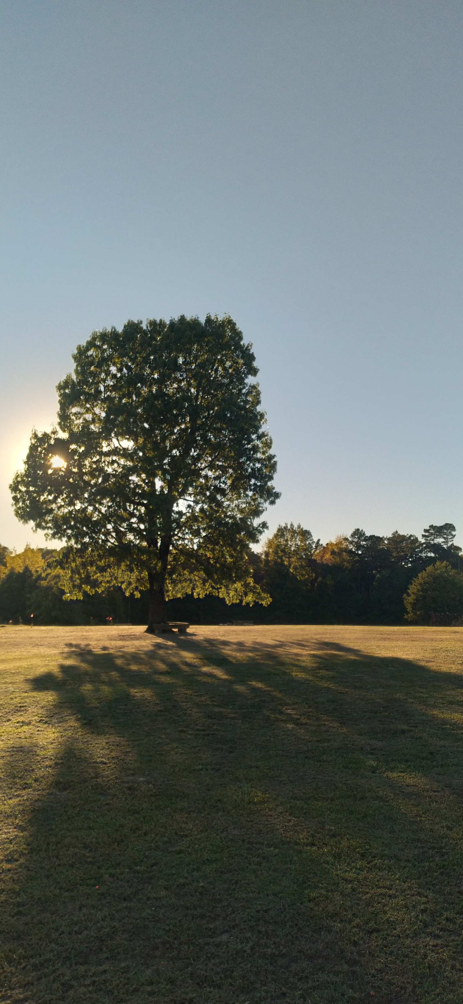 Crown Mountain Campground - Leslie, Arkansas - glamping.directory