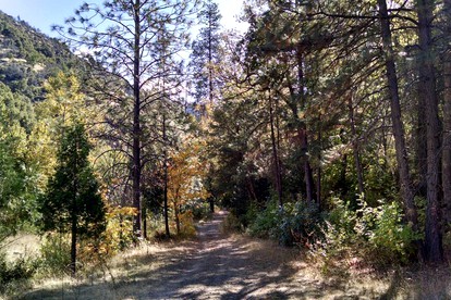 Rustic Caravan Getaway on a Creek in the Klamath National Forest of California - Klamath River, California - glamping.directory