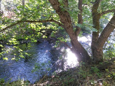 Rustic Caravan Getaway on a Creek in the Klamath National Forest of California - Klamath River, California - glamping.directory