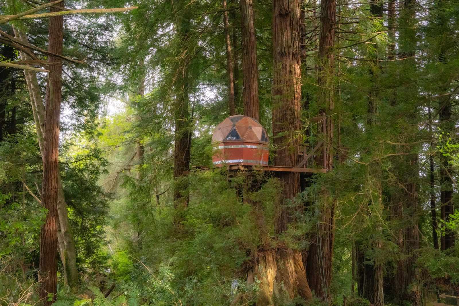 Redwood Retreat - glamping.directory