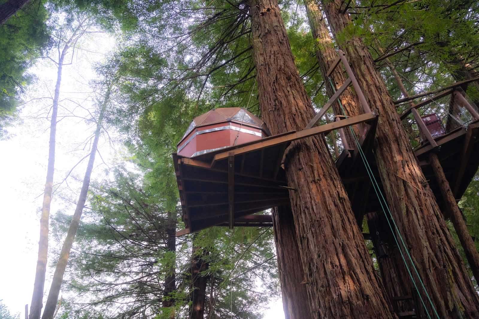 Redwood Retreat - Crescent City, California - glamping.directory