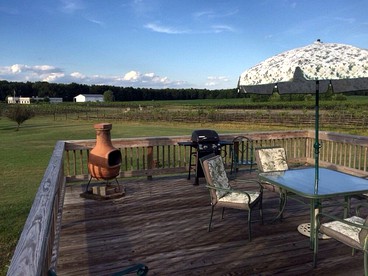 Charming Weekend Getaway Located on a Vineyard near Cleveland, Ohio - Berlin Center, Ohio - glamping.directory