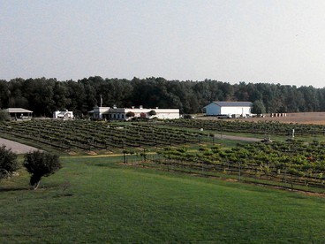 Charming Weekend Getaway Located on a Vineyard near Cleveland, Ohio - Berlin Center, Ohio - glamping.directory