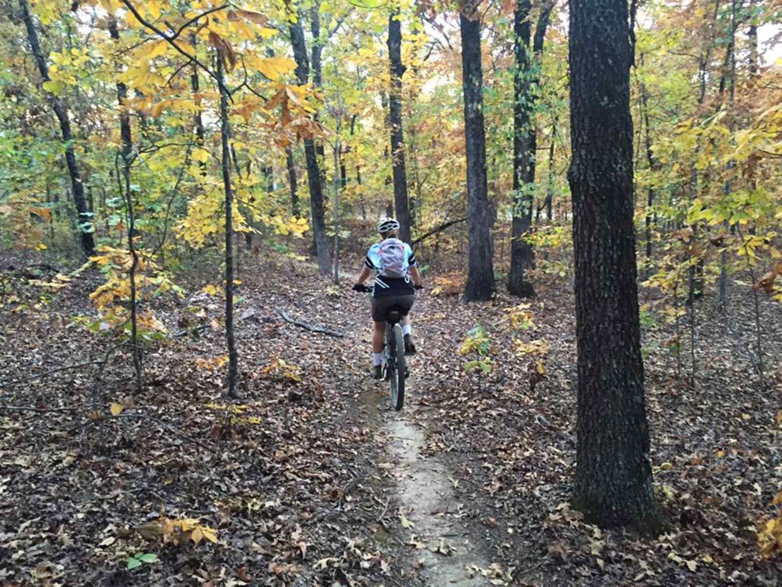 BJ Ranch - Mc Rae, Arkansas - glamping.directory