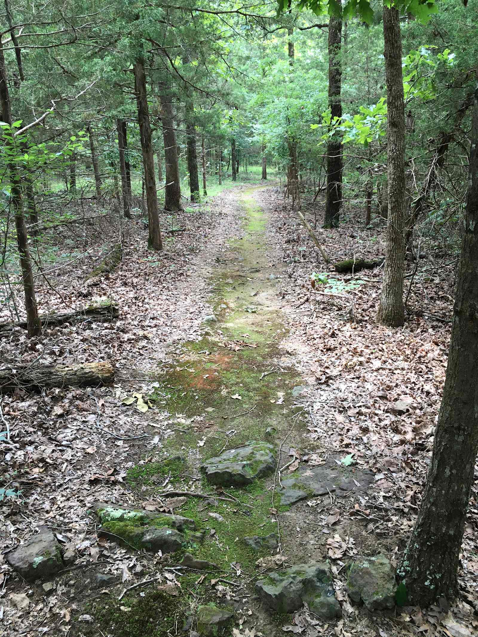 BJ Ranch - Mc Rae, Arkansas - glamping.directory