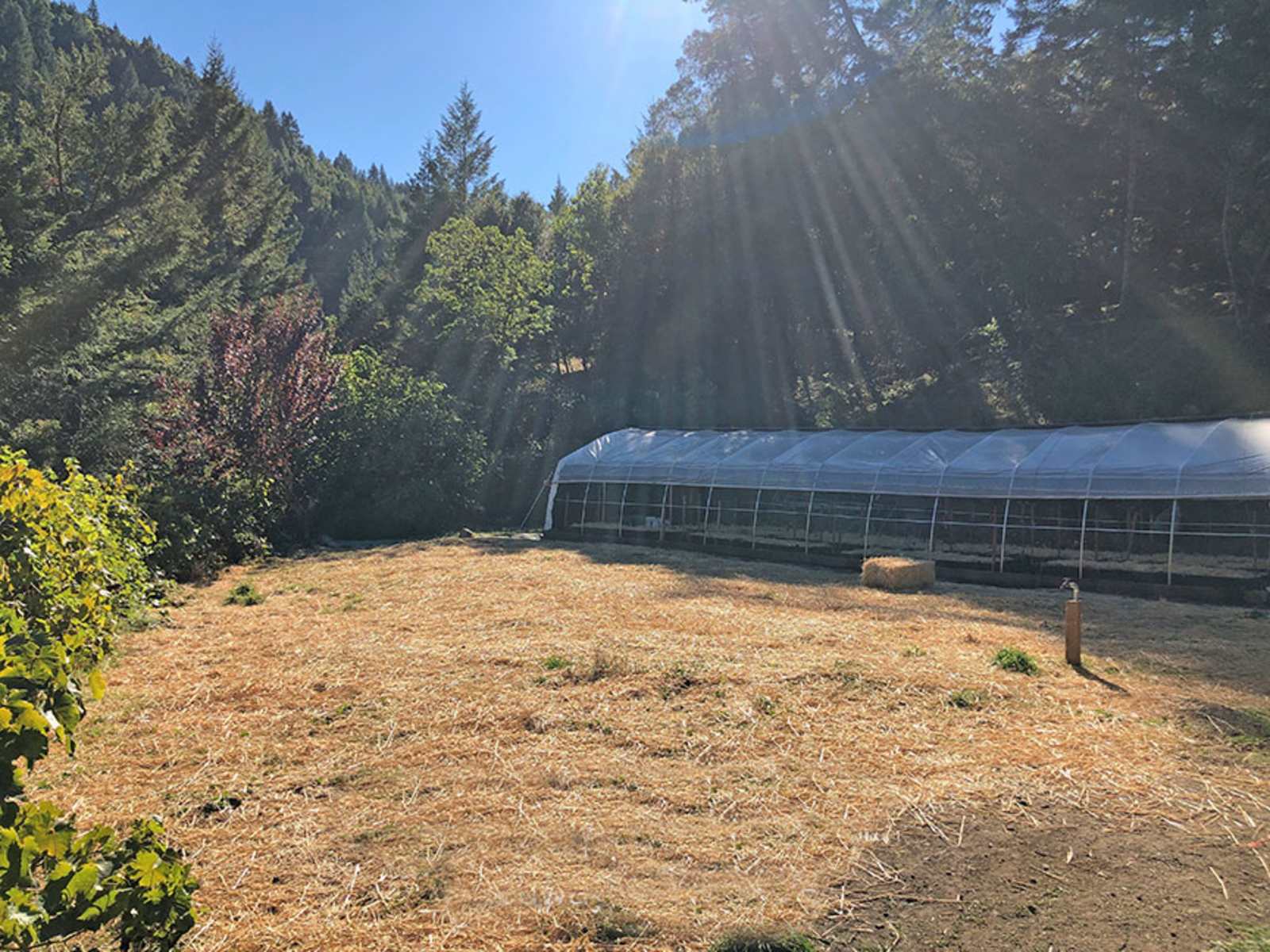 Camp Johneaux - glamping.directory