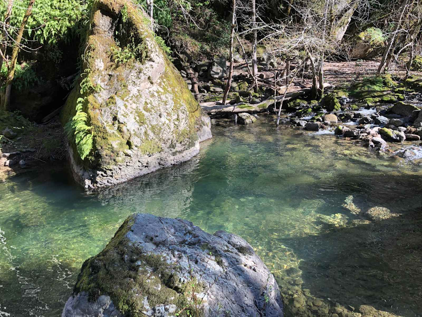 Camp Johneaux - Redway, California - glamping.directory