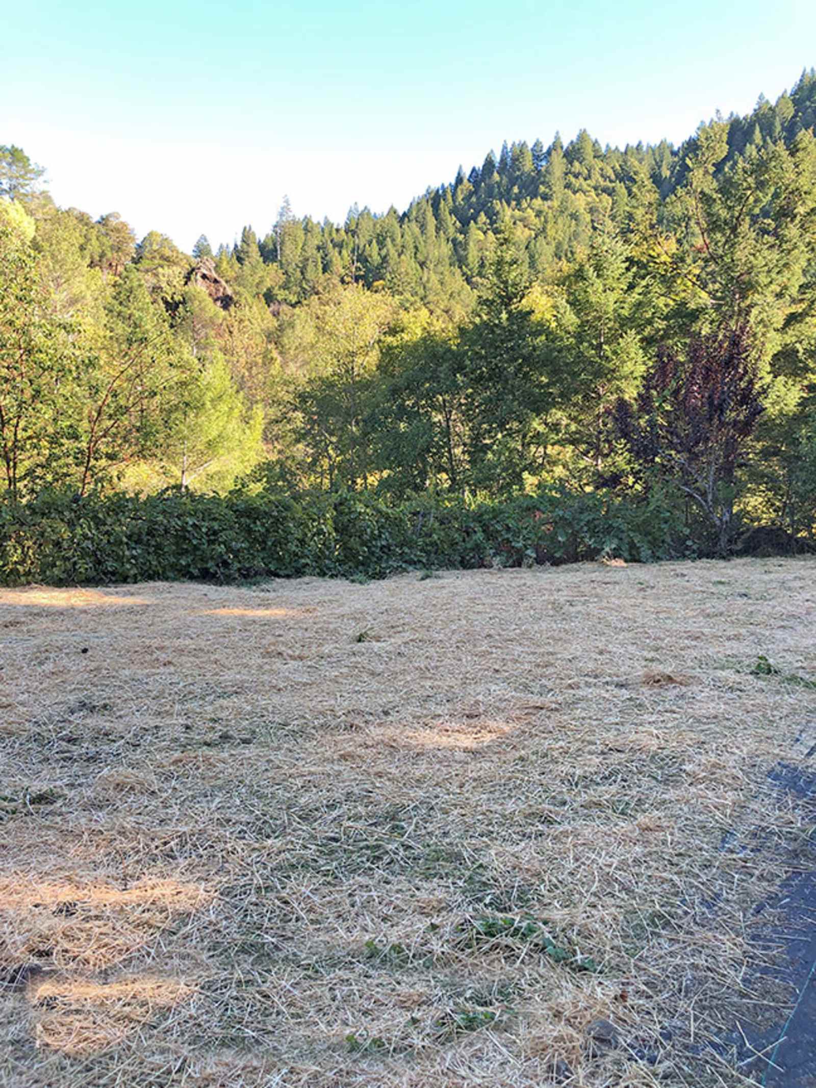 Camp Johneaux - Redway, California - glamping.directory