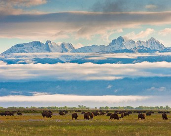 All-Inclusive Ranch with Picturesque Scenery in Colorado - Mosca, Colorado - glamping.directory