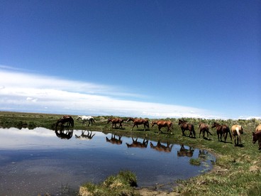 All-Inclusive Ranch with Picturesque Scenery in Colorado - Mosca, Colorado - glamping.directory
