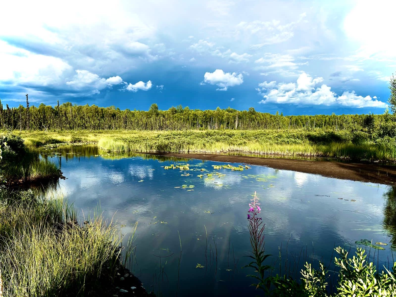 Hidden Creek Retreat - 28 Acres - Talkeetna, Alaska - glamping.directory