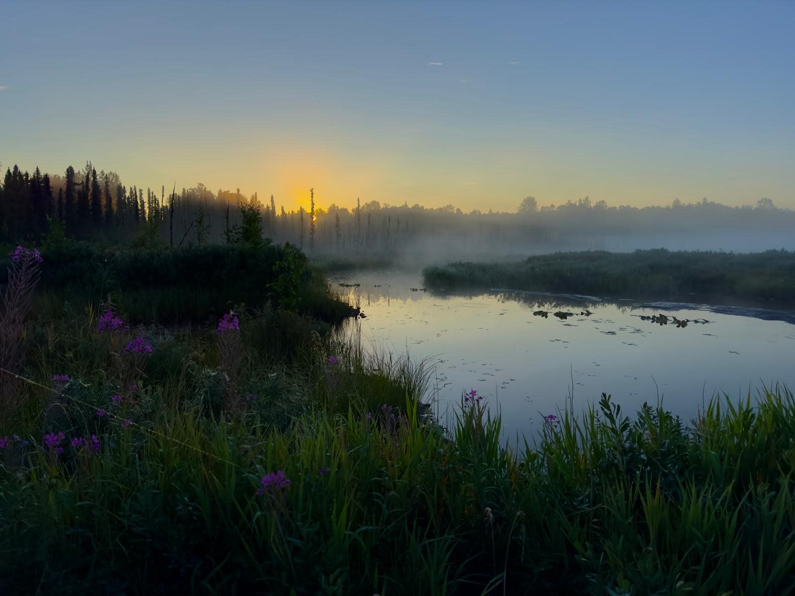 Hidden Creek Retreat - 28 Acres - Talkeetna, Alaska - glamping.directory