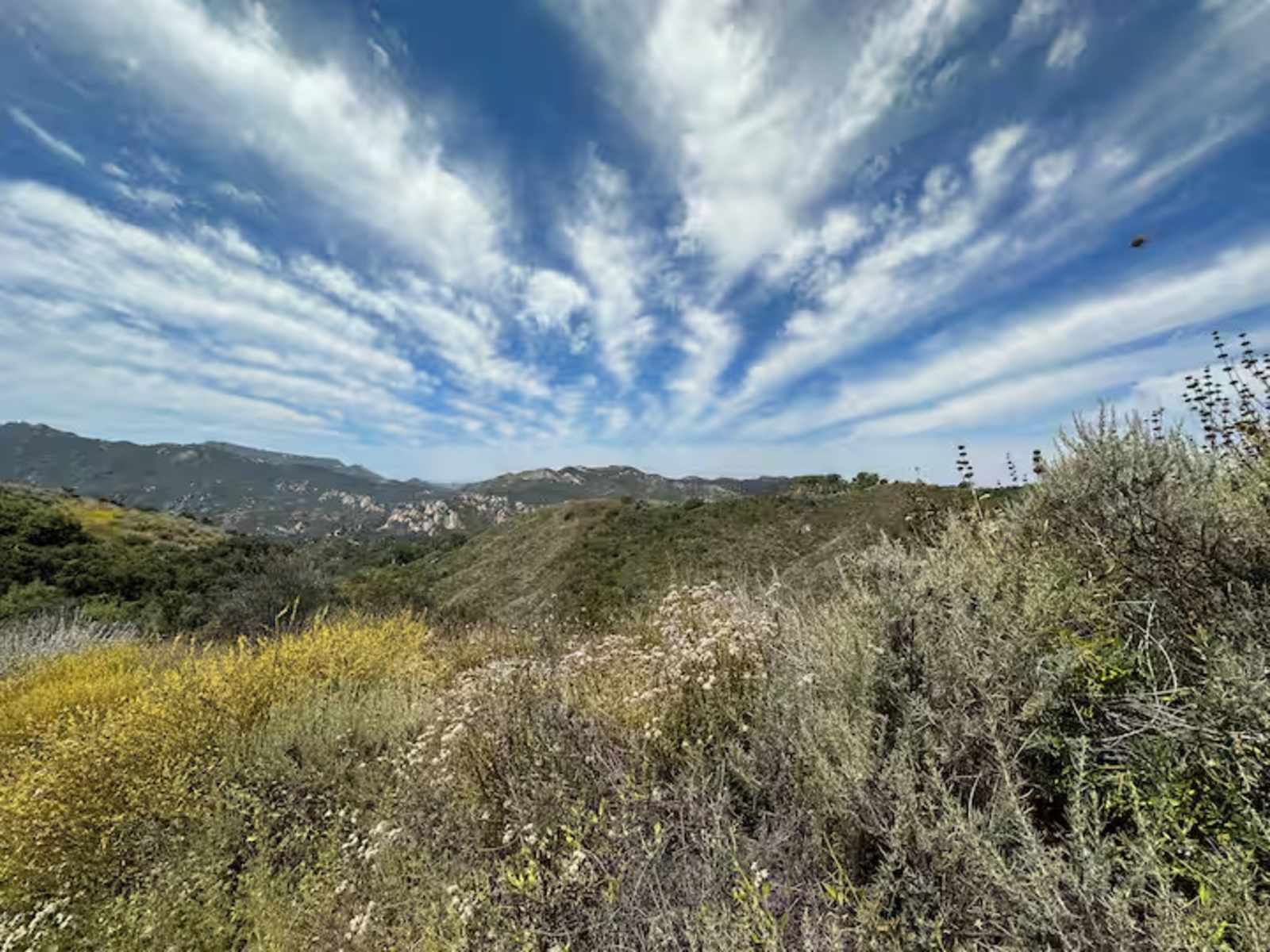 Topanga Cabins - Topanga, California - glamping.directory