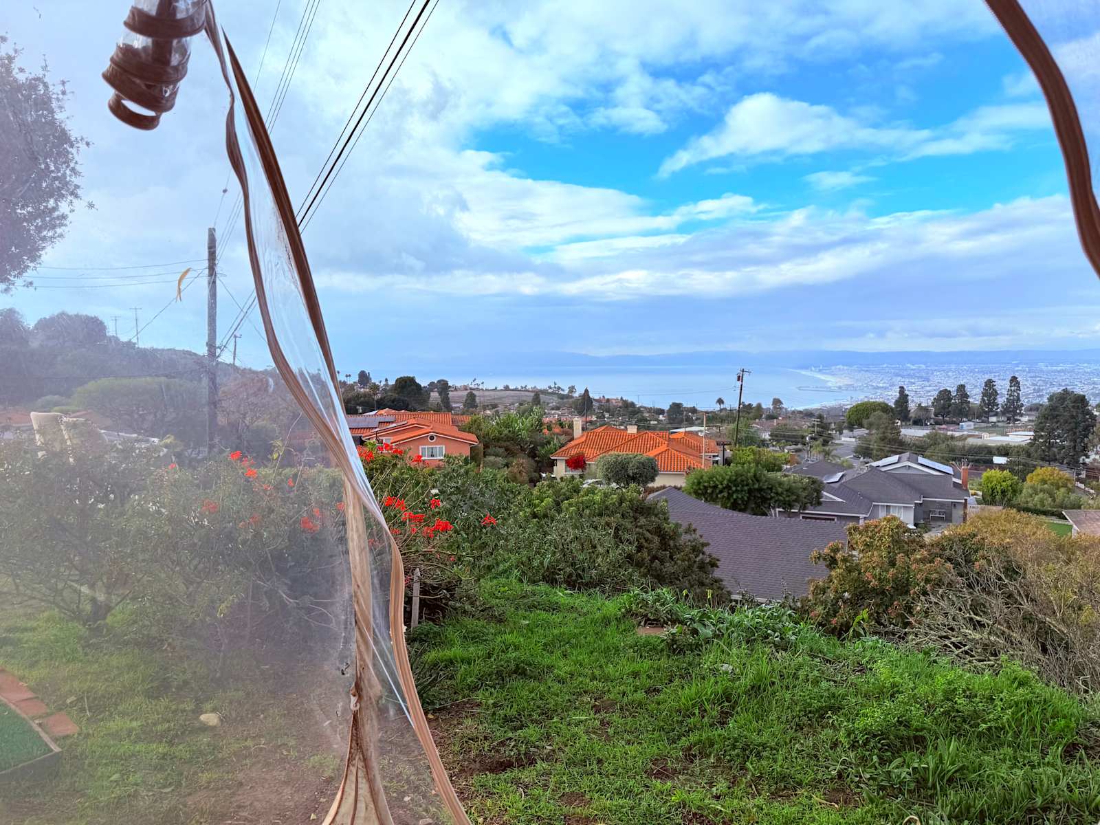Oceanview Mountaintop Bubble Dome - Rancho Palos Verdes, California - glamping.directory