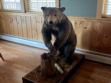 Cozy Spacious Cabin with Game Room and Fire Pit for a Wonderful Escape Surrounded by Nature in Old Forge, New York - Old Forge, New York - glamping.directory
