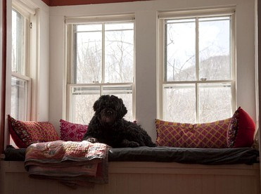 Romantic Forest Cottage Rental by a Ski Resort near Jewett, New York - Jewett, New York - glamping.directory