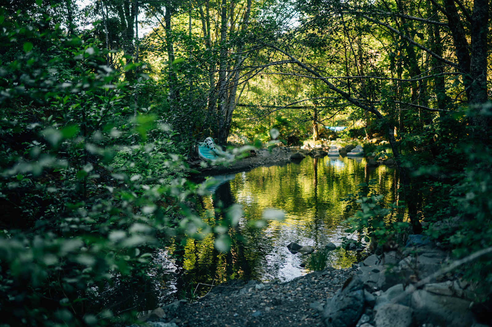 Shimmerback Ranch - Willits, California - glamping.directory