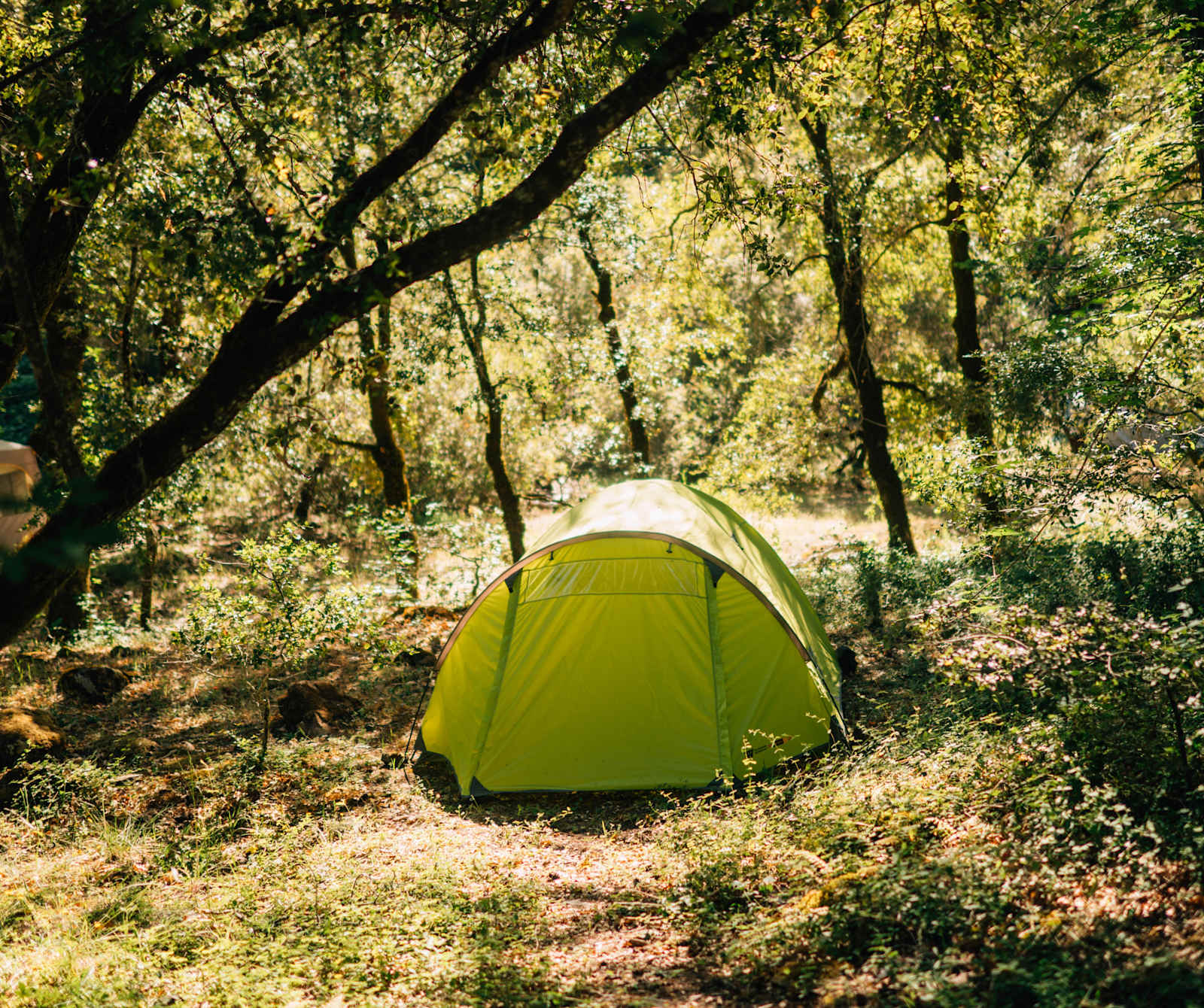 Shimmerback Ranch - Willits, California - glamping.directory