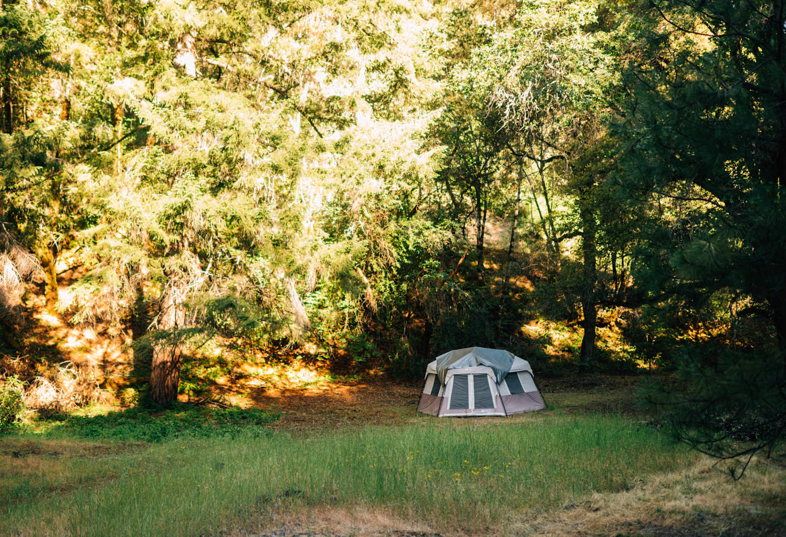 Shimmerback Ranch - Willits, California - glamping.directory