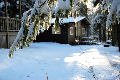 Cozy Cabins in Minnesota's Northwoods Offer Family Fun - Akeley, Minnesota - glamping.directory