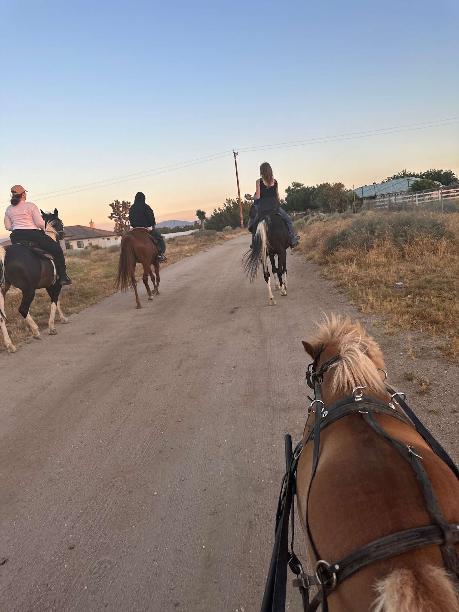 Wild Wind Ranch - Oak Hills, California - glamping.directory