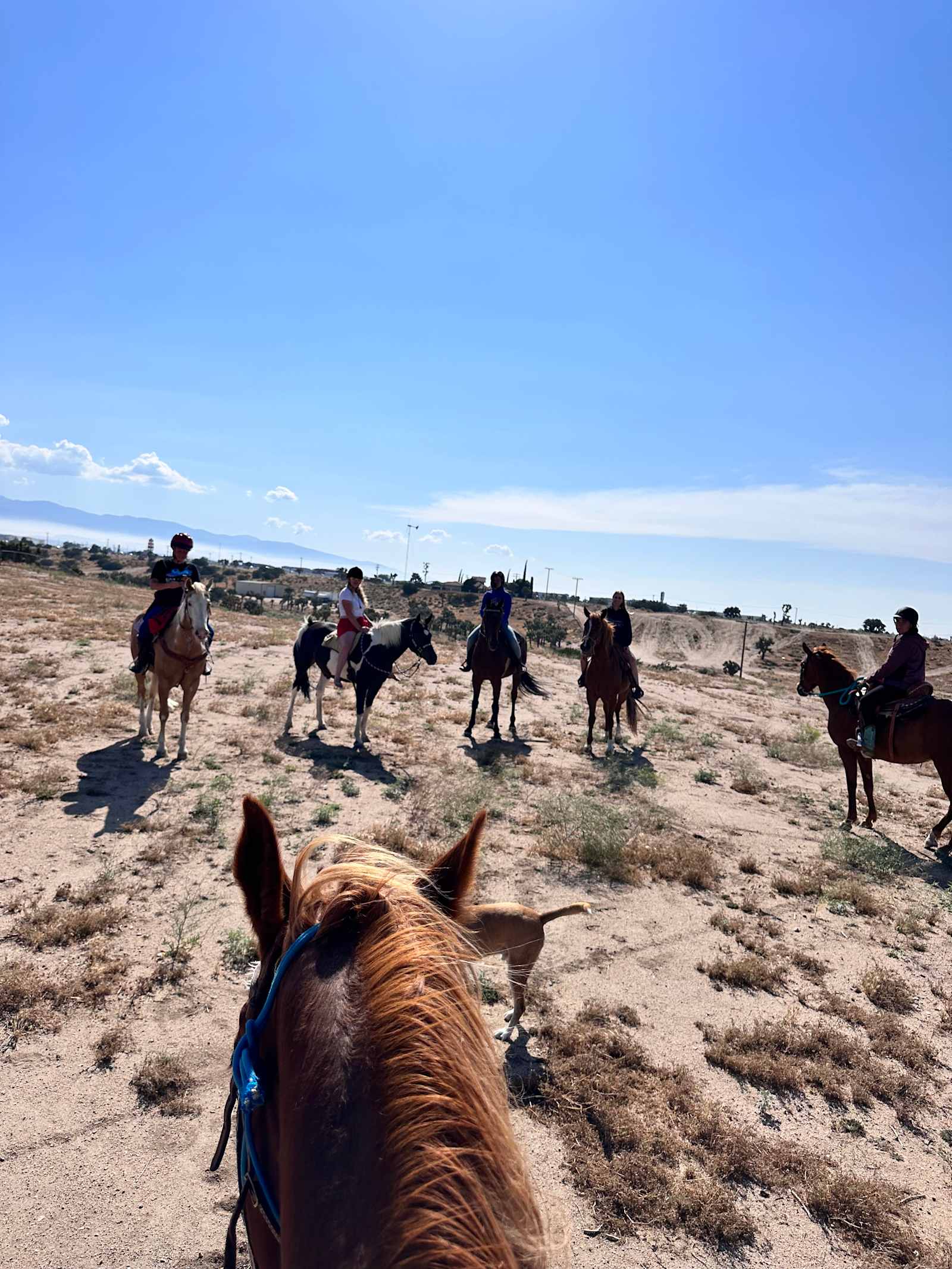 Wild Wind Ranch - Oak Hills, California - glamping.directory