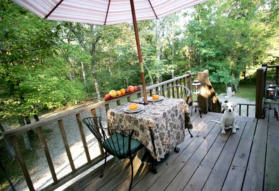 Peaceful Treetop Cottage in the Missouri Ozarks - Park Hills, Missouri - glamping.directory