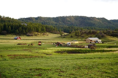 Luxury Glass-Wall Cabin with Private Fire Pit near Pagosa Springs, Colorado - Pagosa Springs, Colorado - glamping.directory