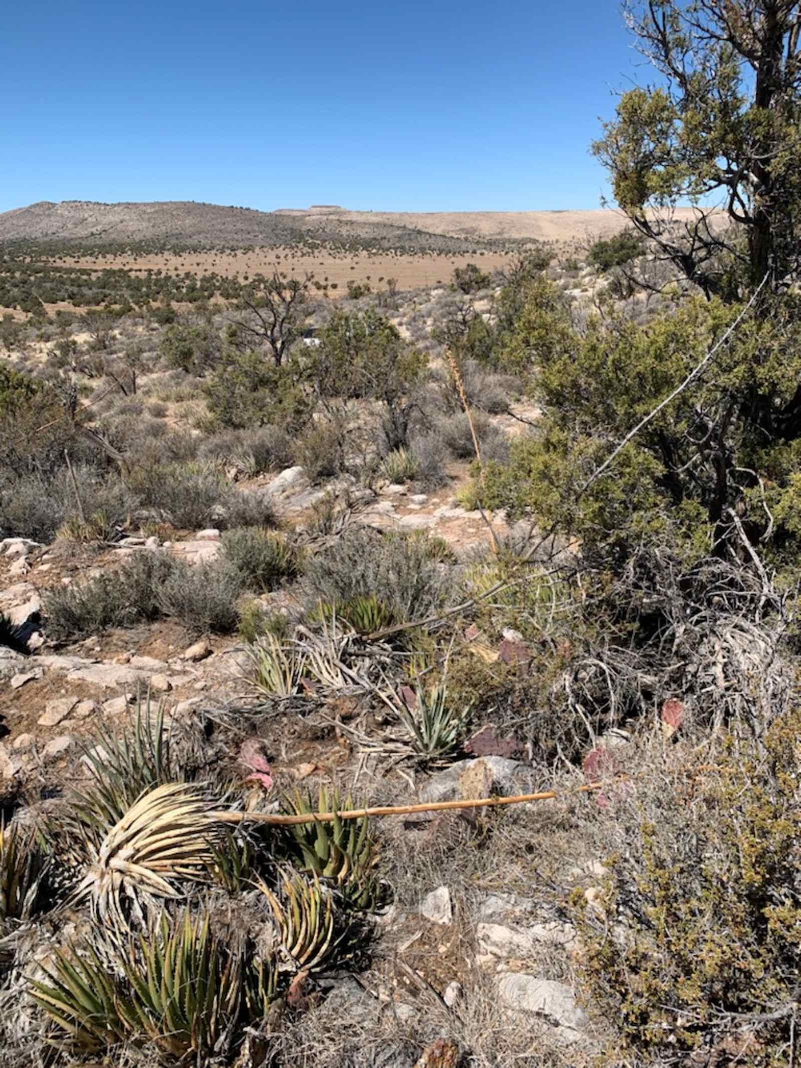 Jackalope Crossing - Meadview, Arizona - glamping.directory