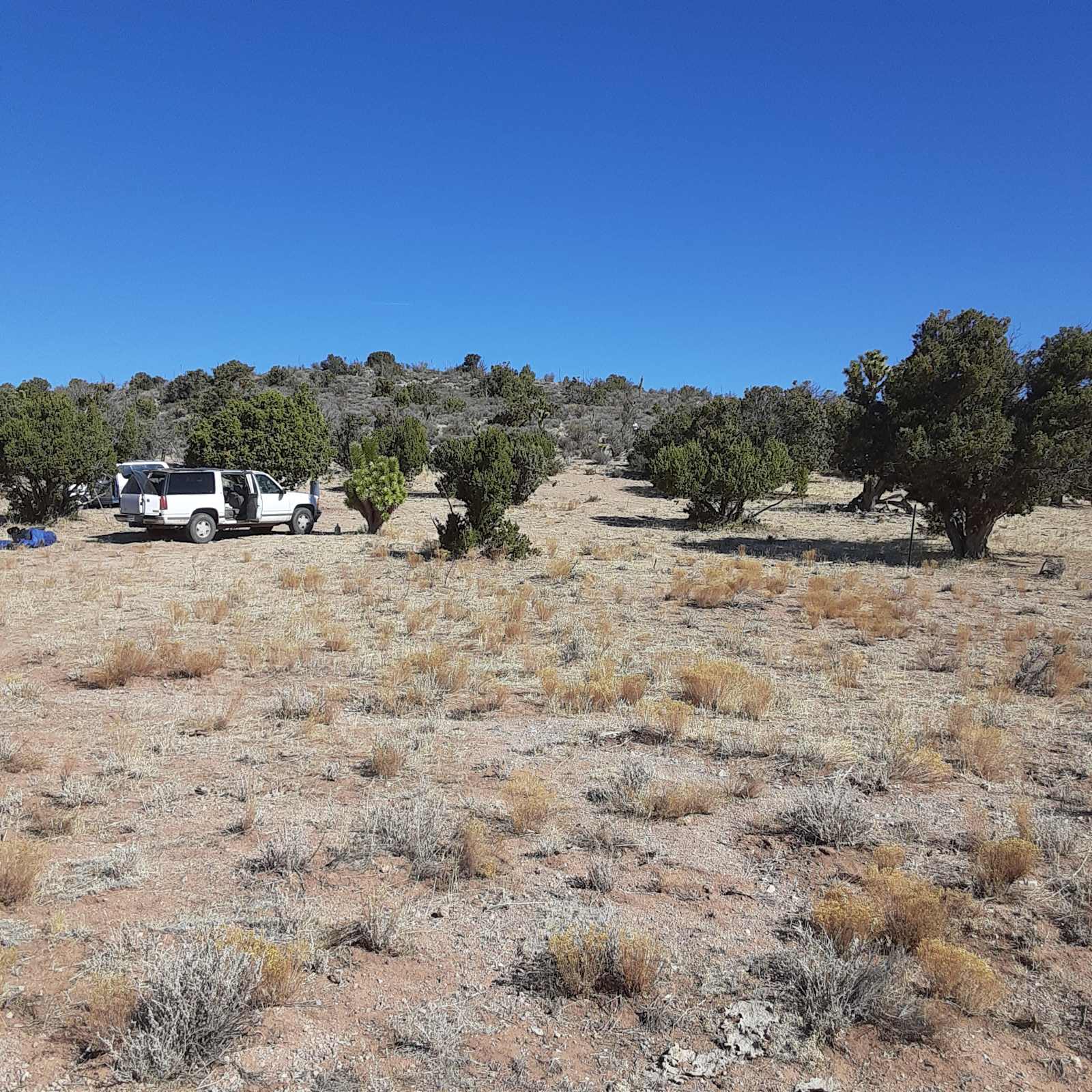 Jackalope Crossing - Meadview, Arizona - glamping.directory