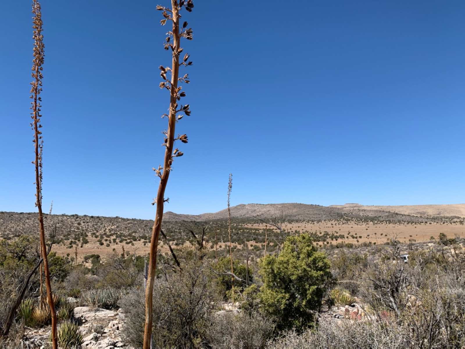 Jackalope Crossing - Meadview, Arizona - glamping.directory