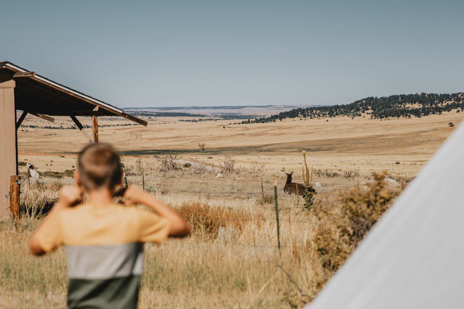 Bijou View - Peyton, Colorado - glamping.directory