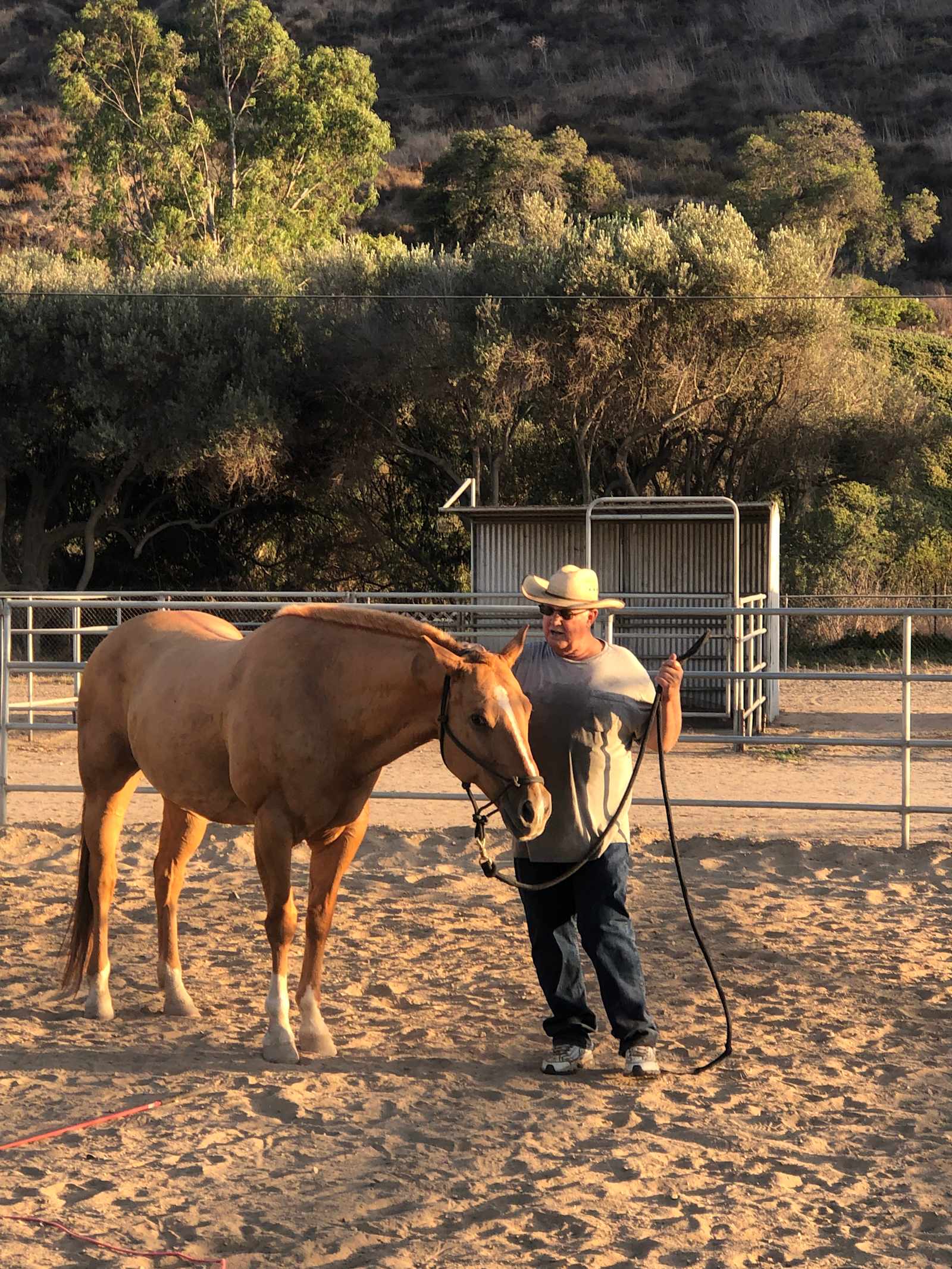 D&J Stables - San Diego, California - glamping.directory