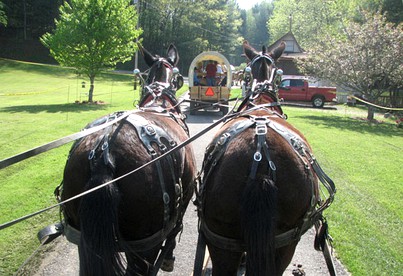Secluded Cottage Getaway on an Authentic Horse Farm near Hillsville, Virginia - Hillsville, Virginia - glamping.directory