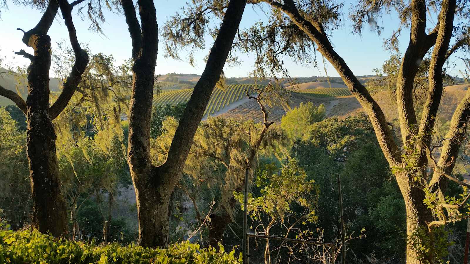 Wine Country Glamping - Paso Robles, California - glamping.directory