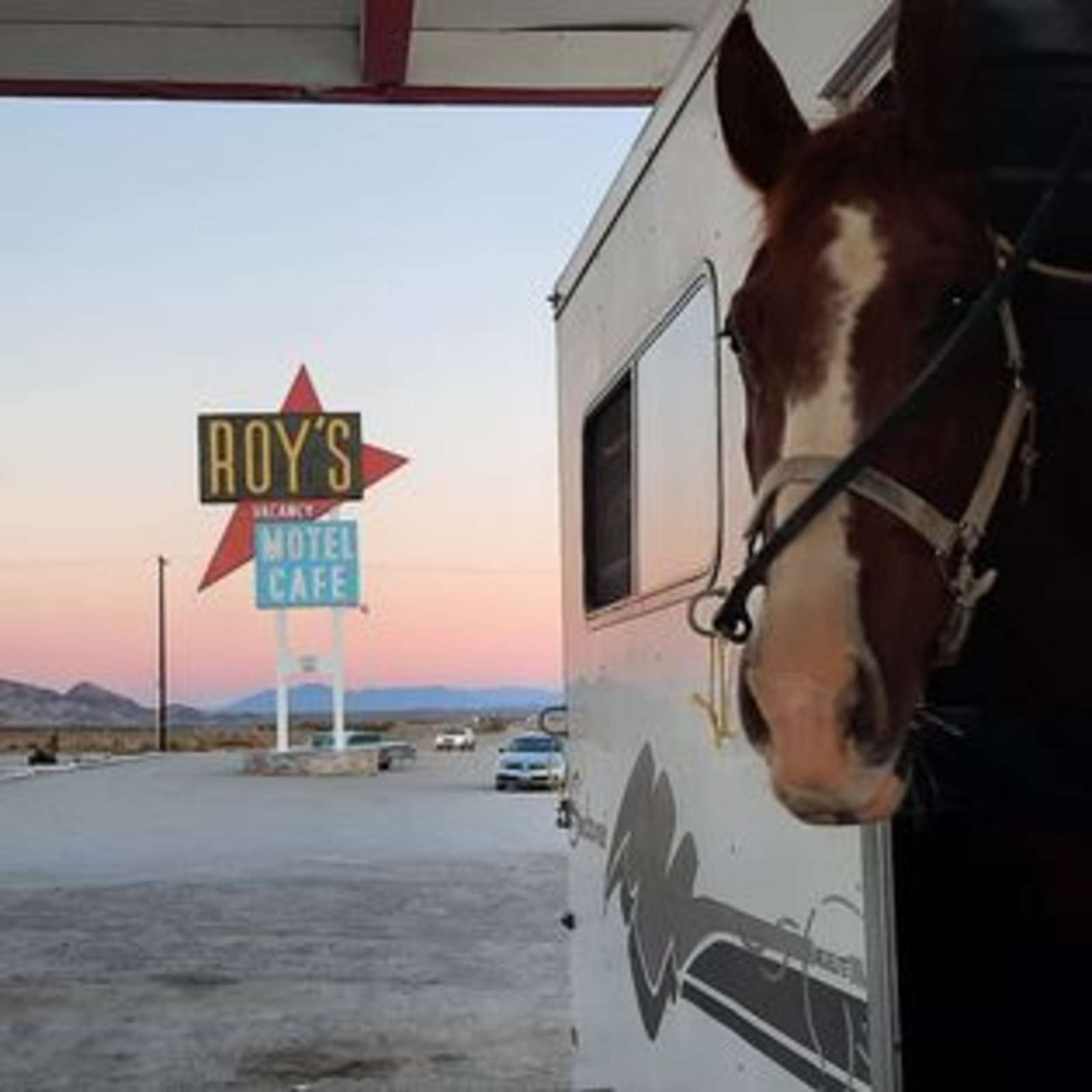 Roy's Motel & Cafe - Twentynine Palms, California - glamping.directory