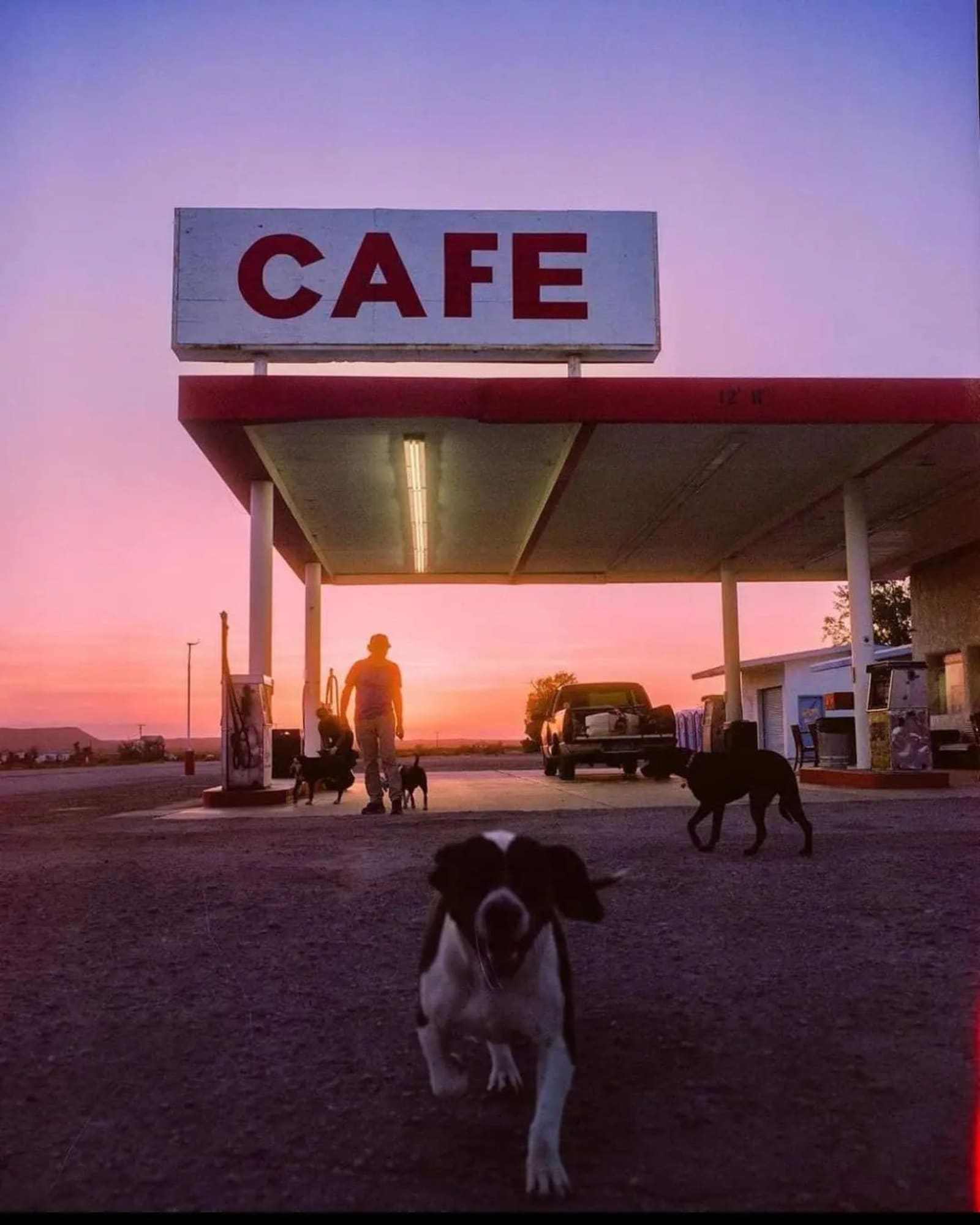 Roy's Motel & Cafe - Twentynine Palms, California - glamping.directory