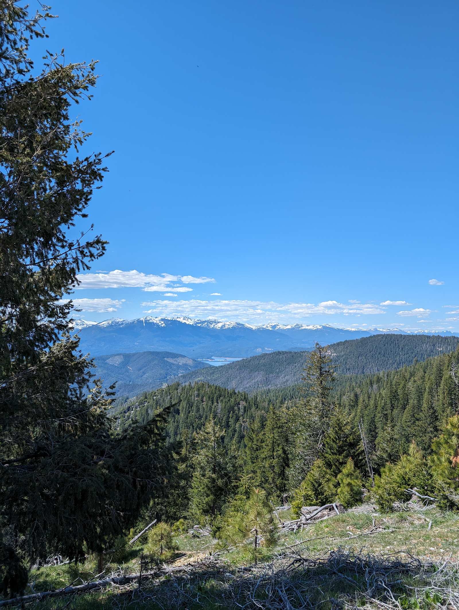 Brunswick Ridge, Trinity Mountain - French Gulch, California - glamping.directory