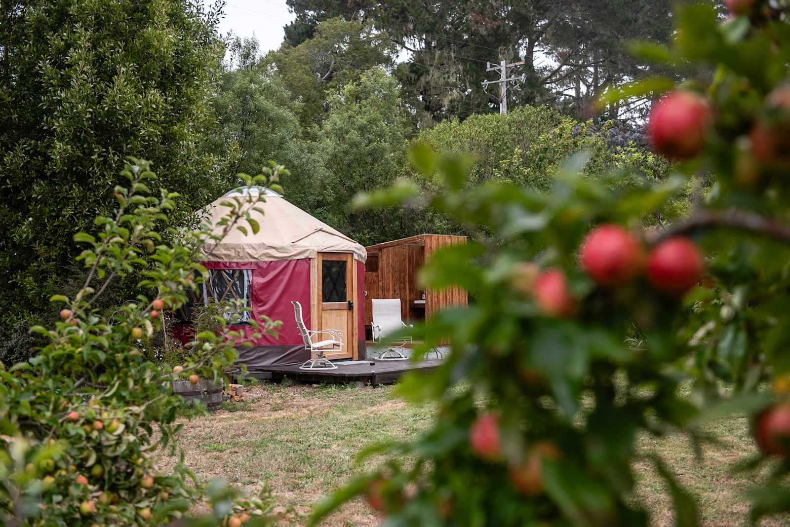 Good Things Farm Yurt, flower farm - Fort Bragg, California - glamping.directory